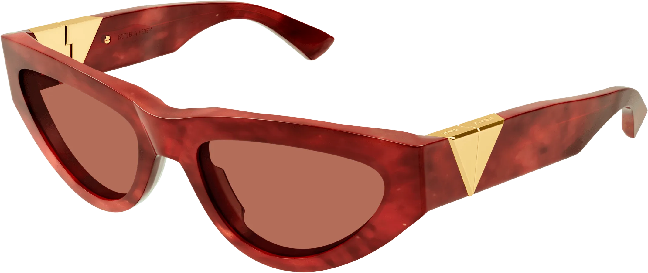 Bottega Veneta BV1176S