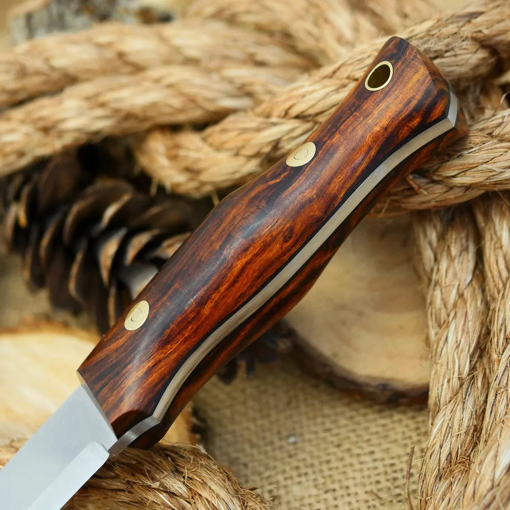Classic: Arizona Desert Ironwood